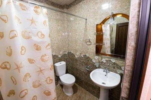 a bathroom with a toilet and a sink and a mirror at Rafting House in Odzun