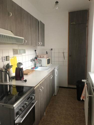Virtuvė arba virtuvėlė apgyvendinimo įstaigoje Apartmán Na Horách