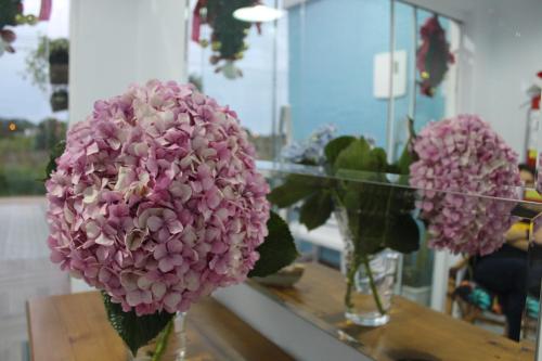 two pink flowers in vases on a table at Hotel e Pousada Magic in Penha