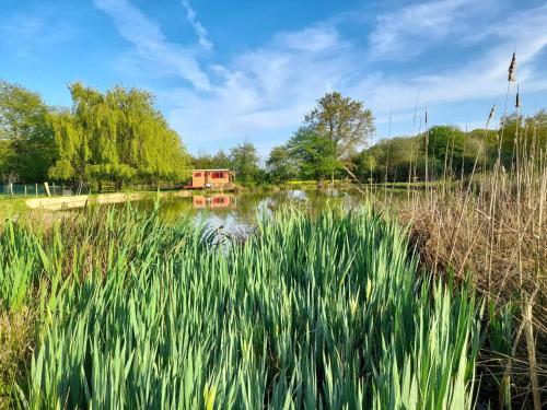 un petit étang avec de l'herbe et une maison en arrière-plan dans l'établissement Jolie roulotte au bord de la mare, à La Bretauche