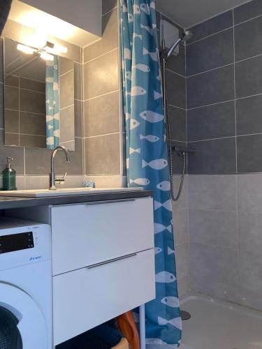 une salle de bain avec un lavabo et une douche dans l'établissement Duplex terrasse vue mer accès plage et piscine..., à Frontignan