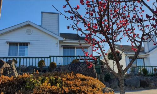 a house with a tree with red flowers in front of it at Jeju Skyline Pension in Jeju
