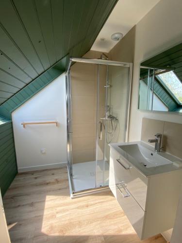 y baño con ducha y lavamanos. en Maison joliment rénovée à 5 minutes du futuroscope, en Chasseneuil-du-Poitou