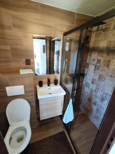 a bathroom with a toilet and a sink and a shower at Chalupa Podhradí in Jiřetín pod Jedlovou