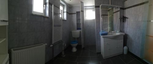 La salle de bains est pourvue de toilettes, d'un lavabo et d'un miroir. dans l'établissement Ferienwohnung Ritha, à Sandberg