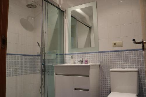 ein Bad mit einer Dusche, einem Waschbecken und einem WC in der Unterkunft La Tilar, apartamento con gran terraza a 3 km de la playa in Llanes