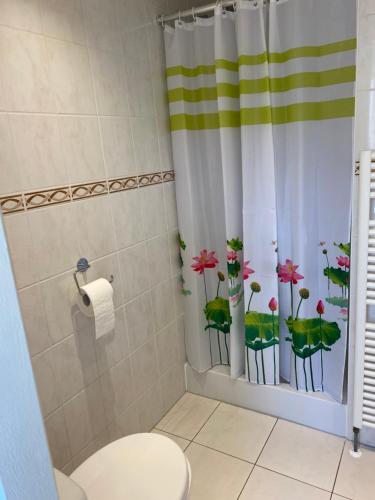 y baño con cortina de ducha y aseo. en Coco's Beach Resort, en Sint Annaland