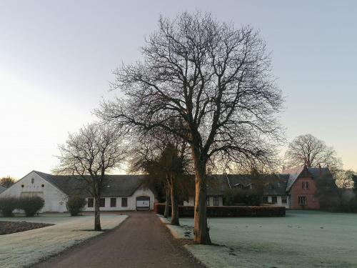 Fotografie z fotogalerie ubytování Edelsminde Bed & Breakfast v destinaci Haslev