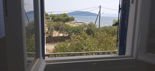 Φυσικό τοπίο κοντά σε αυτό το διαμέρισμα