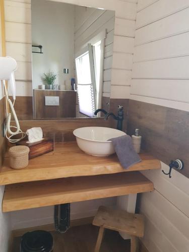 a bathroom with a bowl sink on a wooden counter at Alten Bahnhof Oberdorla/ Thüringen in Niederdorla