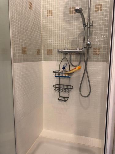 a shower with a toothbrush on the wall in a bathroom at LE Cabanon des hirondelles in Villecroze