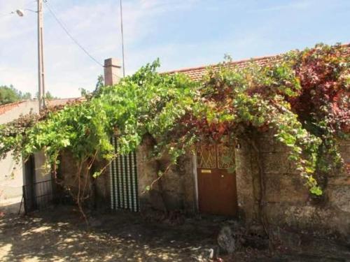 a building with a bunch of vines growing on it at Pedregulho Experience in Caldeirinhas