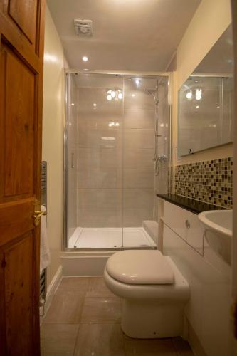 a bathroom with a shower and a toilet and a sink at Riverside Cottage in Llangollen