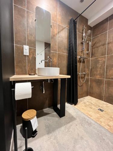 a bathroom with a sink and a shower at Le Patio - Vallée d'Aspe in Bedous