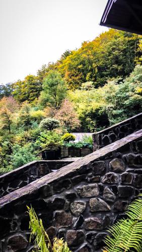 a stone wall with some plants on a hill at Templomvölgy Butik Hotel Mátrakeresztes in Matrakeresztes