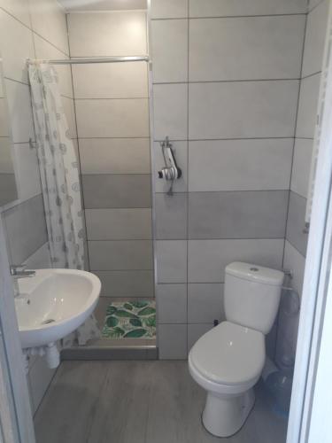 a bathroom with a toilet and a sink at Noclegi u Andrzeja in Gdańsk