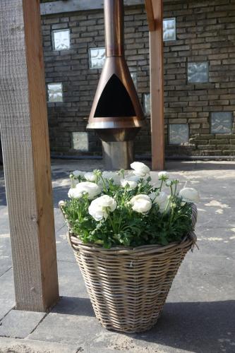 a basket of white flowers sitting next to a light at Hotel het Anker van Texel in De Cocksdorp