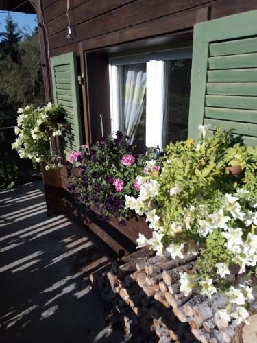 a window box filled with flowers on the side of a house at Bright, sunny holiday apartment on the farm in Oberdiessbach