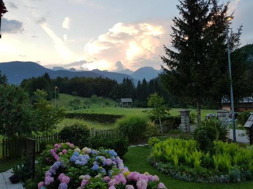 a garden with flowers and mountains in the background at Sobe Ćuskić in Bohinj