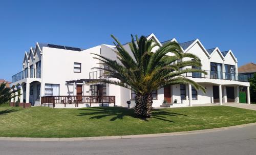 a palm tree in front of a white building at Alive@4 in Mossel Bay