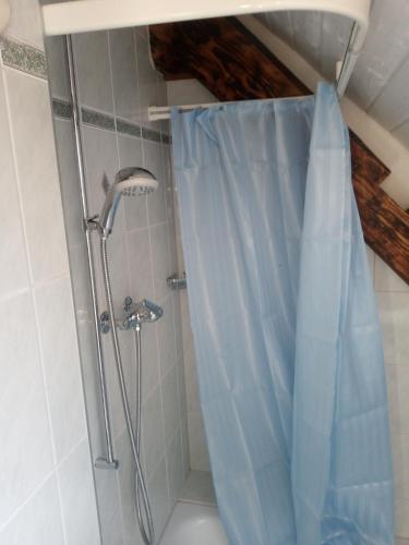 a shower with a blue shower curtain in a bathroom at Bright, sunny holiday apartment on the farm in Oberdiessbach