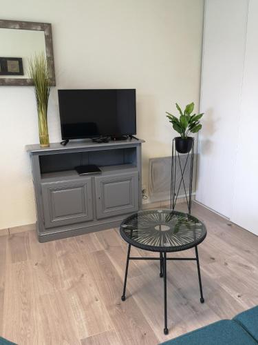 a living room with a tv and a coffee table at La Goélette in Bazincourt-sur-Saulx