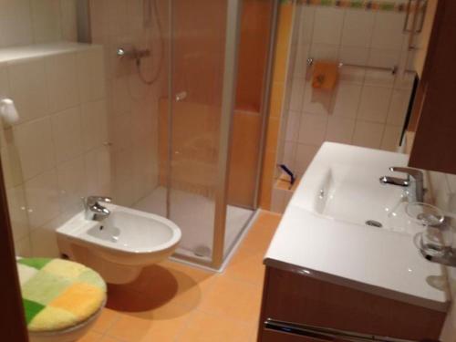 ein Bad mit einer Dusche, einem Waschbecken und einem WC in der Unterkunft Ferienwohnung der Familie Thierse in Stolpen