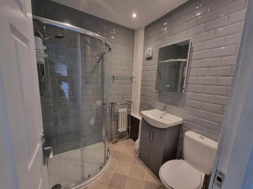a bathroom with a shower and a toilet and a sink at Hamilton Home From Home in Hamilton