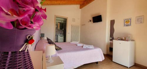 TV a/nebo společenská místnost v ubytování Agriturismo La Collina Verde