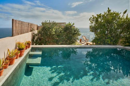 a swimming pool with potted plants and the ocean at Okulus Madeira in Funchal