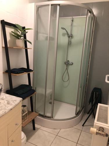 une douche avec une porte vitrée dans une salle de bain dans l'établissement L'étape II, à Varzy