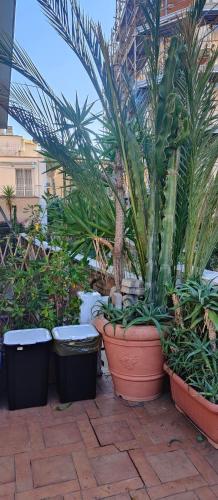 a group of plants in pots on a patio at Ca'del pescatore in Sanremo