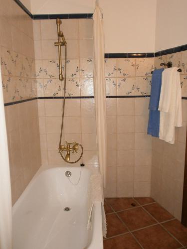 a bathroom with a tub with a shower and a sink at Casa Rural El Alcarcel in Santo Domingo de Pirón