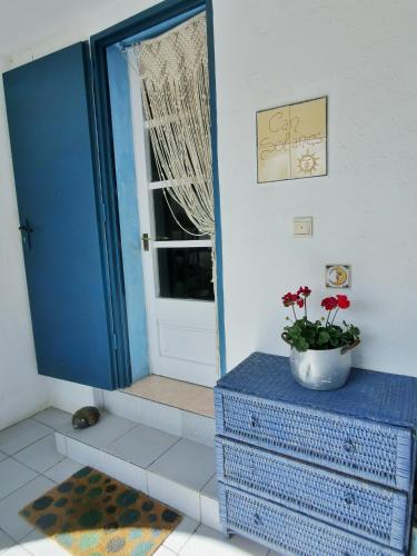 a blue door with a plant on top of a dresser at Caseta de pescadors a les cales de Colera, 2ª linea de mar in Colera