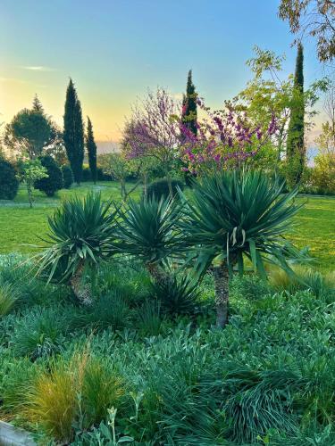 a garden with palm trees and plants in a field at Hotel Aatu - Adults Only in Peratallada