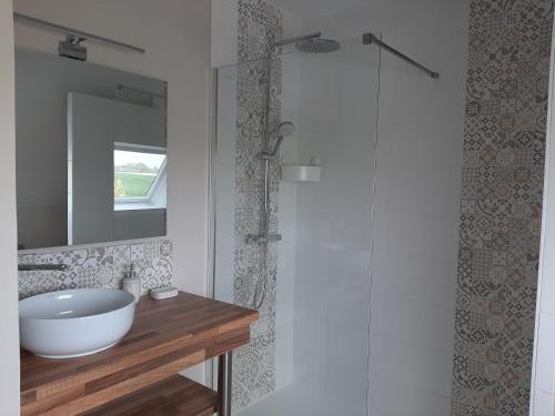 TrédarzecにあるChambres d'hôtes de Ty Guenのバスルーム(白いシンク、シャワー付)