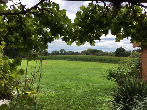 a field of grass with a view of a house at Wein-Chalet W141 in Weinburg am Saßbach
