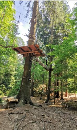 a tree house in the middle of a forest at Apartments Karin in Bled