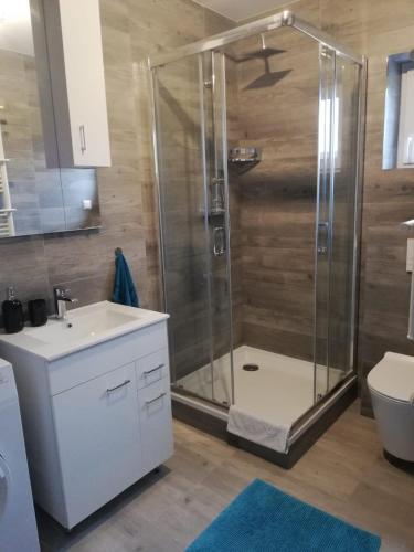 a bathroom with a shower and a sink and a toilet at Domek Marcel Roztocze in Krasnobród