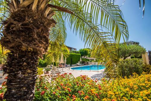 Πισίνα στο ή κοντά στο Villa Daphne