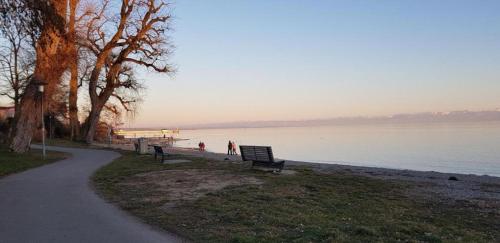 eine Bank auf einem Pfad neben einem Wasserkörper in der Unterkunft Fewo Saur in Immenstaad am Bodensee