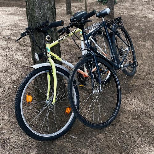 two bikes are parked next to a tree at Apartmani Vera in Vinci