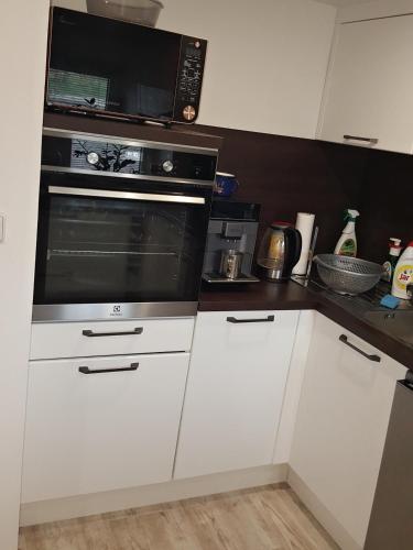 A cozinha ou cozinha compacta de chalupa U Slunce - Jetřichovice