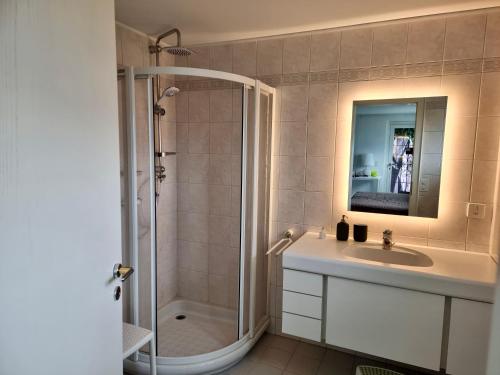 a bathroom with a shower and a sink and a mirror at Wohlfühl-Oase mit Traumblick für alle Generationen inkl Aufzug in Gambarogno