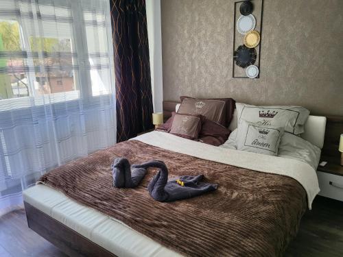 Komló Szíve Apartman 7300 Komló, Kossuth Lajos utca 83. kép - 3