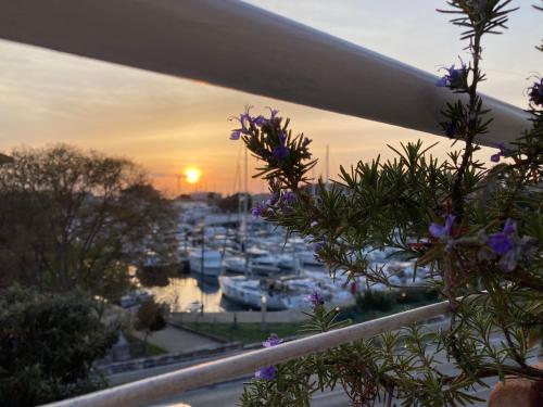 a view of a marina at sunset with purple flowers at Summer Breeze apartment in Zadar