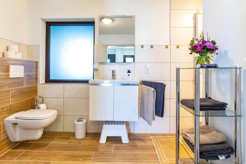 a bathroom with a toilet and a sink at Pferdehof Bischof in Wertheim