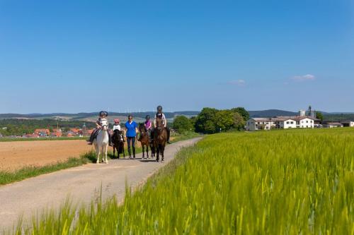 a group of people riding horses down a dirt road at Pferdehof Bischof in Wertheim