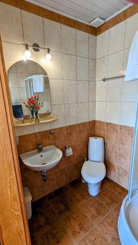 a bathroom with a toilet and a sink at Słoneczna Przystań - Apartament in Szczedrzyk