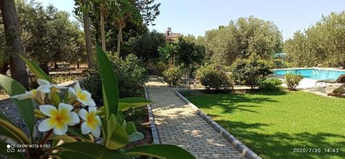 La alberca dentro o cerca de Olive Garden